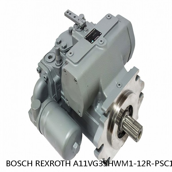 A11VG35HWM1-12R-PSC10F0125-SK BOSCH REXROTH A11VG Hydraulic Pumps #1 small image